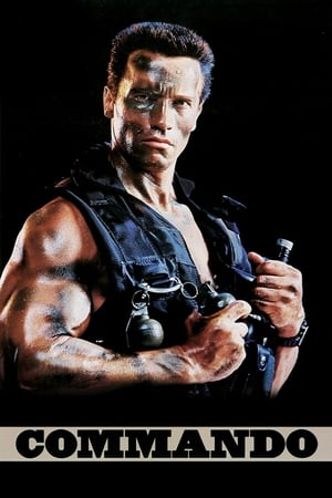 Commando (1985) Hindi Dual Audio 300MB HD Poster Download - filmyfly
