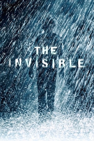 The Invisible 2007 Hindi Dual Audio Movie - 850MB HD Poster Download - filmyfly