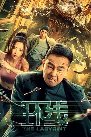 The Labyrinth (2022) Hindi Dual Audio – HD Poster Download - filmyfly