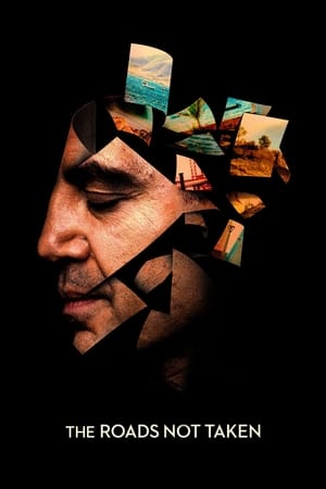 The Roads Not Taken (2020) Hindi Dual Audio – HD Poster Download - filmyfly
